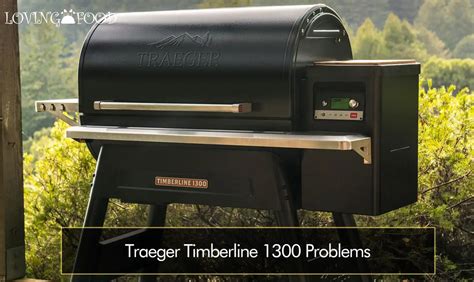 Traeger Timberline 1300 Problems How To Fix Them Loving Food