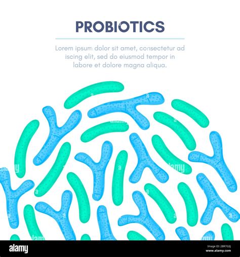 Vector Background With Probiotics In Semicircular Shape