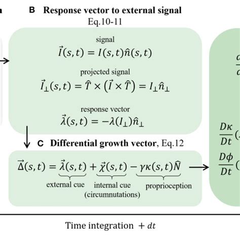 Schematic Of The Governing Equations We Present The Main Stages Download Scientific Diagram