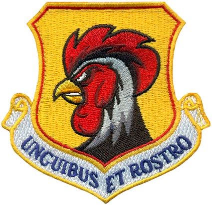 18th WING MORALE Flightline Insignia