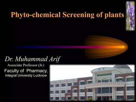 Phytochemical screening | PPT