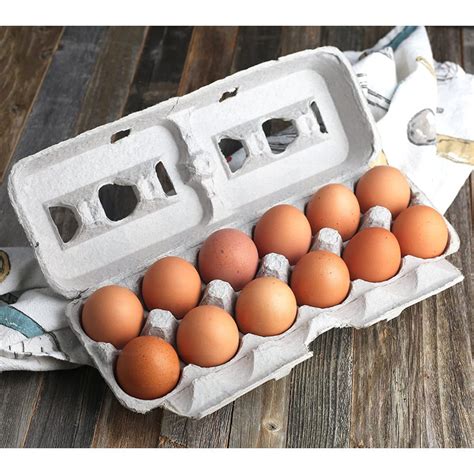 Prep And Savour Cristba Printed Natural Pulp Paper Egg Cartons Holds 12 Eggs Wayfair Canada