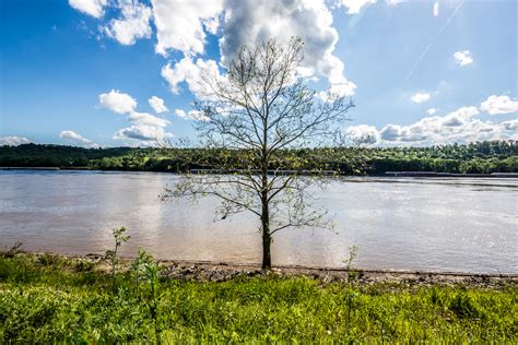 Fernbank Park Has Room to Hike, Fish, and Enjoy the Sights Along the ...