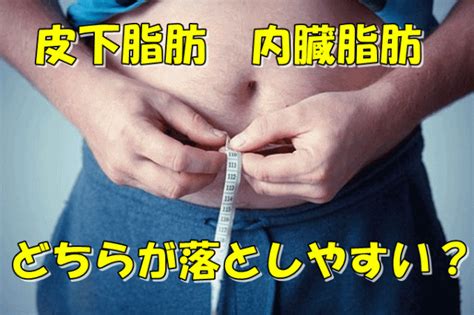 皮下脂肪と内臓脂肪の違いってどこにある？簡単な見分け方を詳しく解説 メンジー