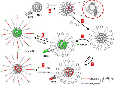 Surface engineered approach for the preparation of mesoporous silica ...