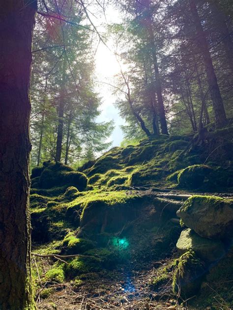 Harz Mountains Hiking On The Hexen Stieg Tatonka Blog