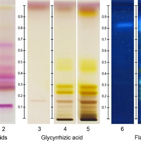 High Performance Thin Layer Chromatography Hptlc Analysis Track 1