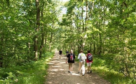 En famille à pied ou à vélo les parcs et forêts où se promener à