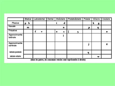 PHONÉTIQUE ARTICULATOIRE ppt télécharger