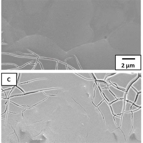 Surface Morphologies Of The RuO2 Ti Anodes Magnification 400 000