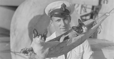 20 Historical Photos Of Cats And Their Soldiers In World War I And Ii