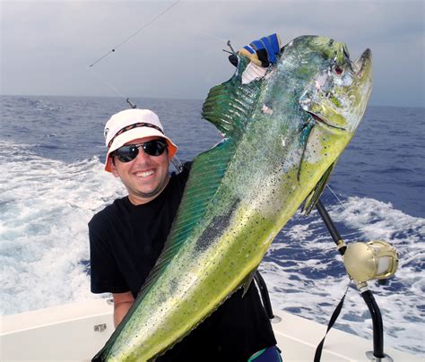 Mahi Mahi Fishing In Koha Hawaii