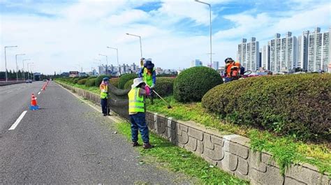 울산시설공단 한달여간 가로변 조경관리공사