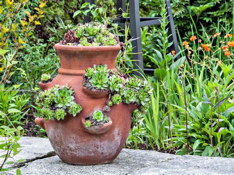 How To Plant A Strawberry Pot