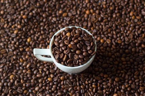 Close Up Top View Photo Of Roasted Coffee Beans In White Ceramic Cup