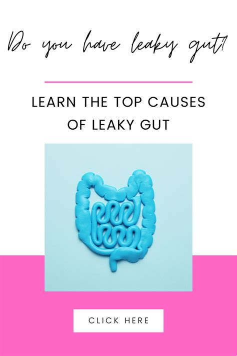 Learn what causes leaky gut and begin to eliminate these things from ...