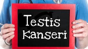 Testis Kanseri Prof Dr Hakkı Perk