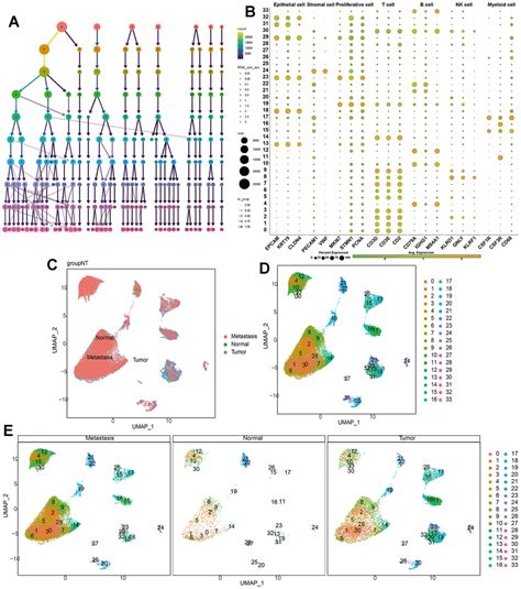 Integrated Single Cell Sequencing Spatial Transcriptome Sequencing And