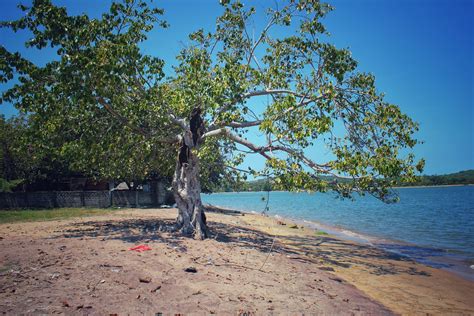 Kinniya Beach On The Map With Photos And Reviews🏖️