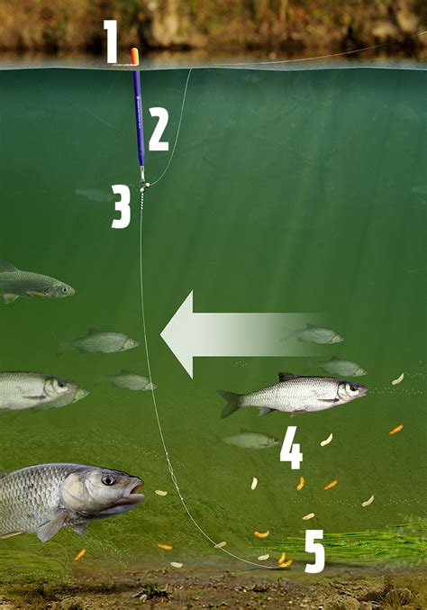 Guide To Chub Fishing Angling Times