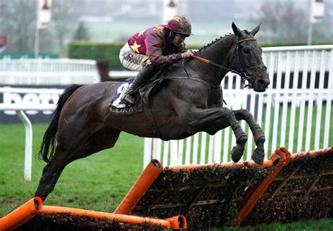 Cheltenham Gold Cup History: All Past Winners and Trends Listed - Pundit Feed