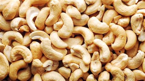 Cashew Nut Trade In Nigeria Information Guide In Nigeria