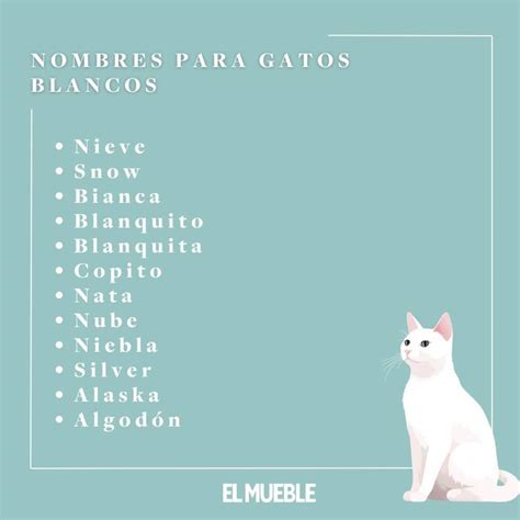 Nombres Para Gatos Bonitos Y Originales