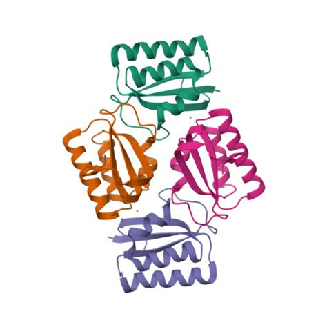 Rcsb Pdb 1vgl Crystal Structure Of Tetrameric Kaib From Telongatus Bp 1