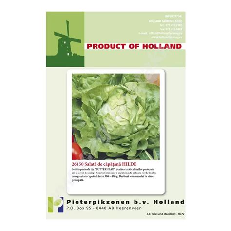 Seminte De Salata De Capatana Hilde Holland Farming G