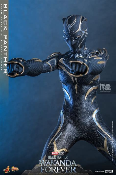 Hottoys Black Panther