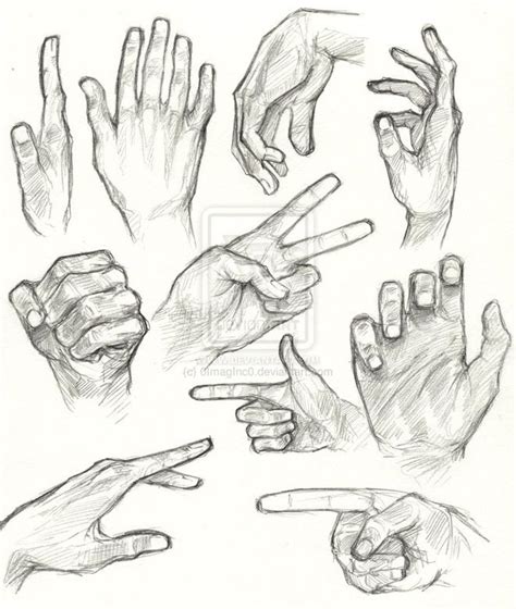 Hand Anatomy Drawing By Oimaginc 6 Sketches How To Draw Hands