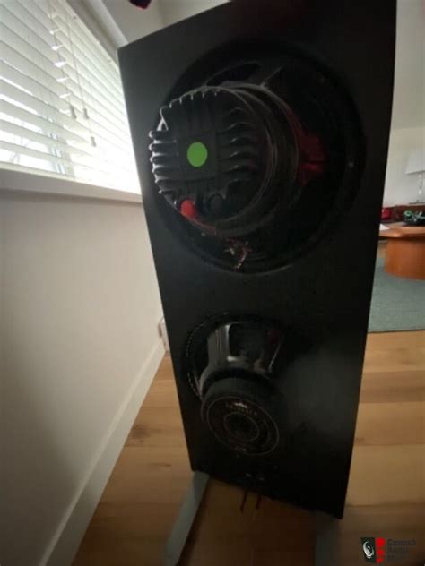 Spatial Audio Hologram M Turbos S Open Baffle Speakers Photo