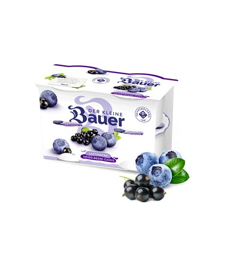 Der Kleine Bauer Laktosefrei Heidelbeer Cassis 4x100g Bauer Natur