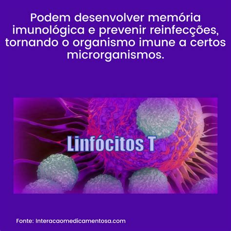 Já Ouviu Falar Em Linfócitos T E Imunidade Celular Iptsp Rede