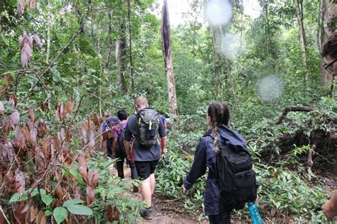 From Siem Reap Phnom Kulen National Park Trekking Tour GetYourGuide