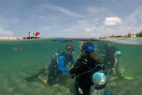 Tripadvisor Padi Open Water Cursus Aangeboden Door The Dive Bus