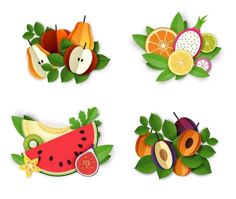 Conjunto de composición de frutas y bayas ilustración vectorial aislada