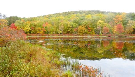 Harriman Fall Reflection Stanley Zimny Thank You For Million