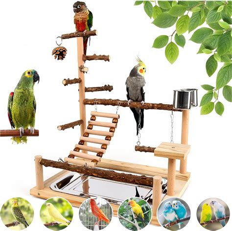 Amazon Bird Playground Parrot Perch Stand Natural Wood Bird