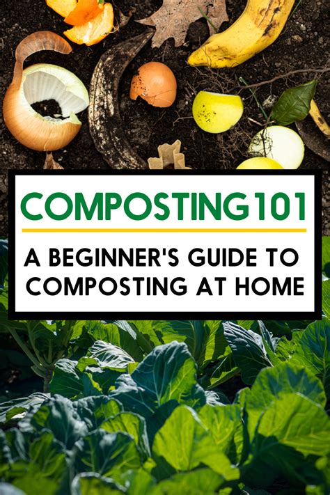 A Beginners Guide On How To Compost Composting At Home Lexis Clean