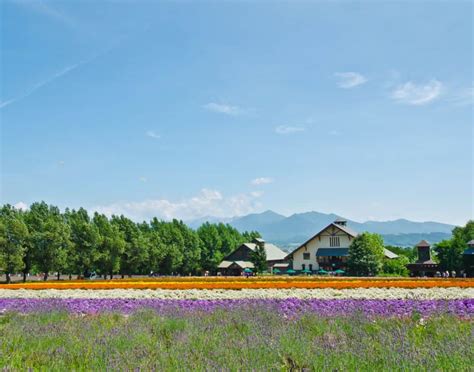 The 10 Best Places To See Lavender Farms In Maryland 2023