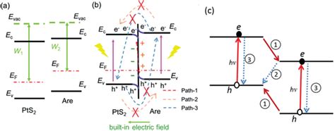 Schematic Illustration Of Direct Zscheme PtS2 Are VdW Heterostructure