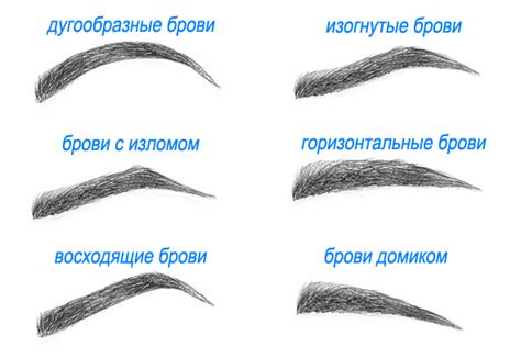 Как выщипать правильно брови в домашних условиях | Happy Lady ...
