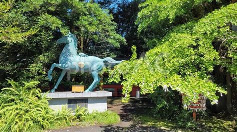 薩摩国一之宮 枚聞神社 神馬像 No 22427657｜写真素材なら「写真ac」無料（フリー）ダウンロードok