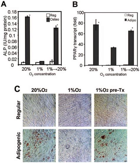 Differential Roles Of Hypoxia Inducible Factor Subunits In