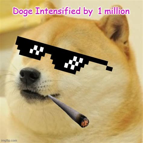 Doge Meme Imgflip