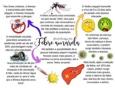 Resuminho De Febre Amarela Em Febre Amarela Agente De Saude