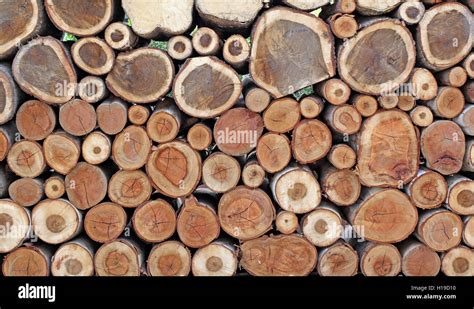 stump stack as background or texture Stock Photo - Alamy