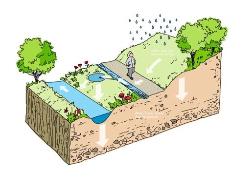 Sistemas Urbanos De Drenaje Sostenible Suds Pavimentos Drenantes