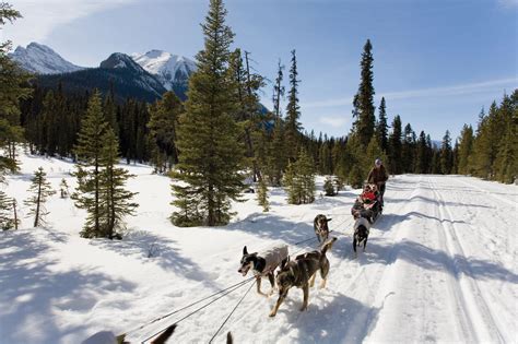 Banff Sledding Tobogganing Canmore Alberta And Kananaskis Travel Guide